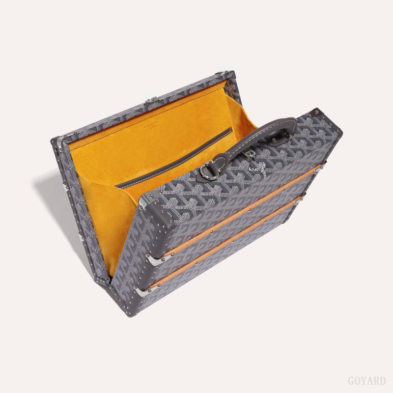 Bolsa de Mão Goyard PALACE MM TRUNK BAG Cinzentas | GY-PQD8200